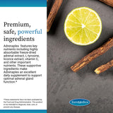 Vitamina C y B6 para apoyo metabólico.