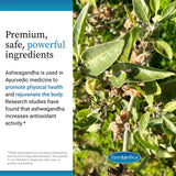 EuroMedica Ashwagandha Complex: cápsulas sobre mesa para rutina matutina