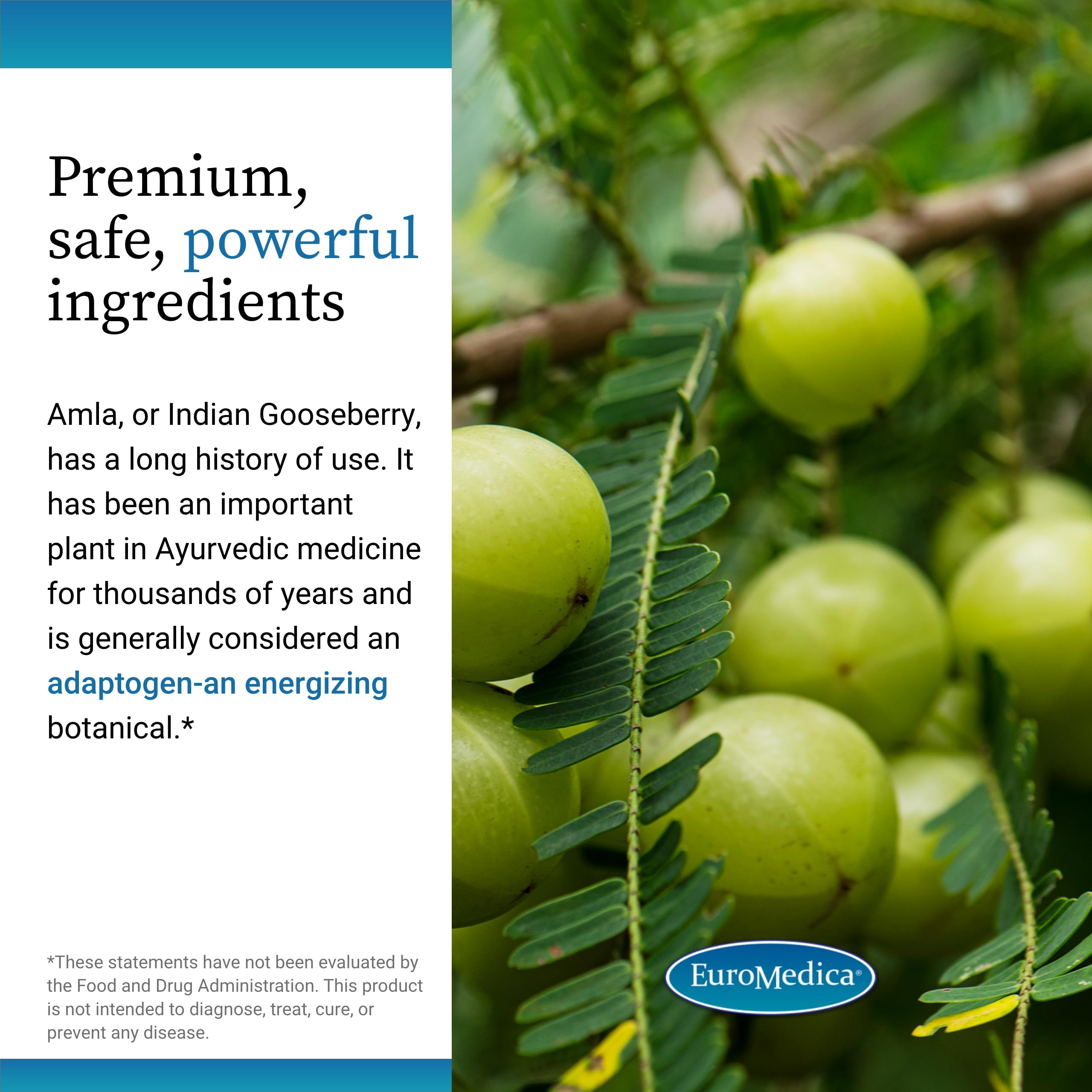EuroMedica ingrediente amla, fuente natural de antioxidantes