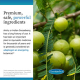 EuroMedica ingrediente amla, fuente natural de antioxidantes