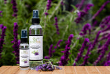 Frasco de 8 oz de EuroSpa Aromatics aceite de eucalipto puro.