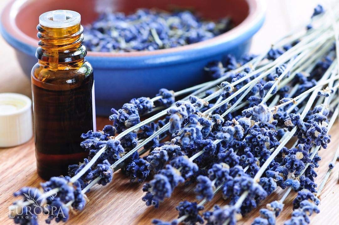 Aroma de eucalipto puro en ambiente con fragancia relajante de EuroSpa Aromatics.