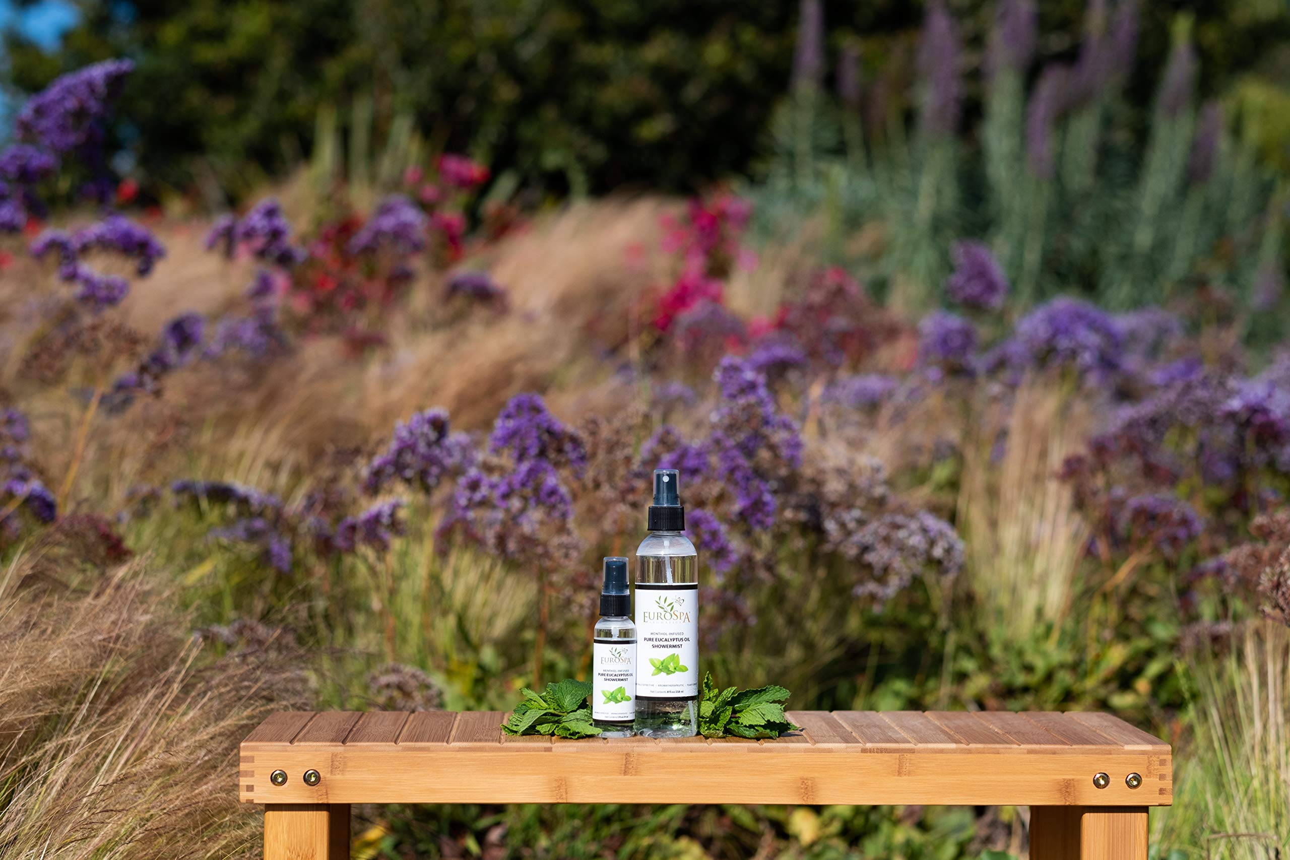 EuroSpa Aromatics botella de 2 onzas, eucalipto puro para uso spa en casa