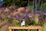 EuroSpa Aromatics botella de 2 onzas, eucalipto puro para uso spa en casa