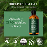 Cuidado del cuero cabelludo con Eve Hansen Aceite de Árbol de Té para equilibrio capilar.