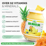 EverSmith Organics gel irlandés salvaje en envase 16 onzas, almacenamiento práctico para tu despensa