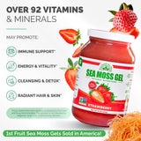 EverSmith Organics Sea Moss Gel, uso diario en batidos para nutrición natural.