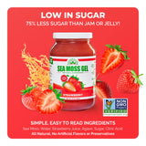 EverSmith Organics Sea Moss Gel, versátil en postres y bebidas.
