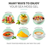 EverSmith Organics gel musgo mar irlandes - uso versátil en batidos y salsas.