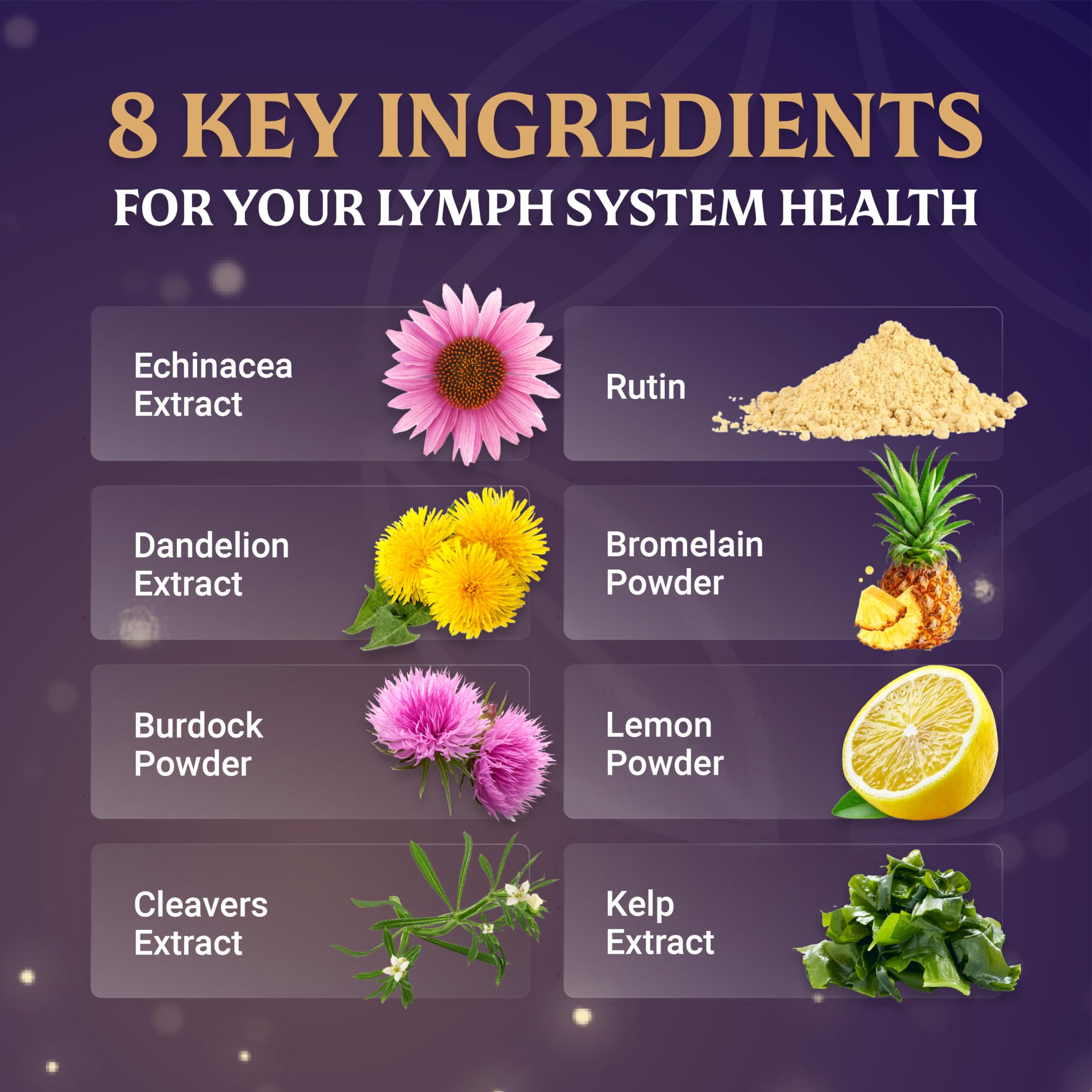 Everfaith LymphaFlo raíz de bardana, ingrediente herbolario tradicional
