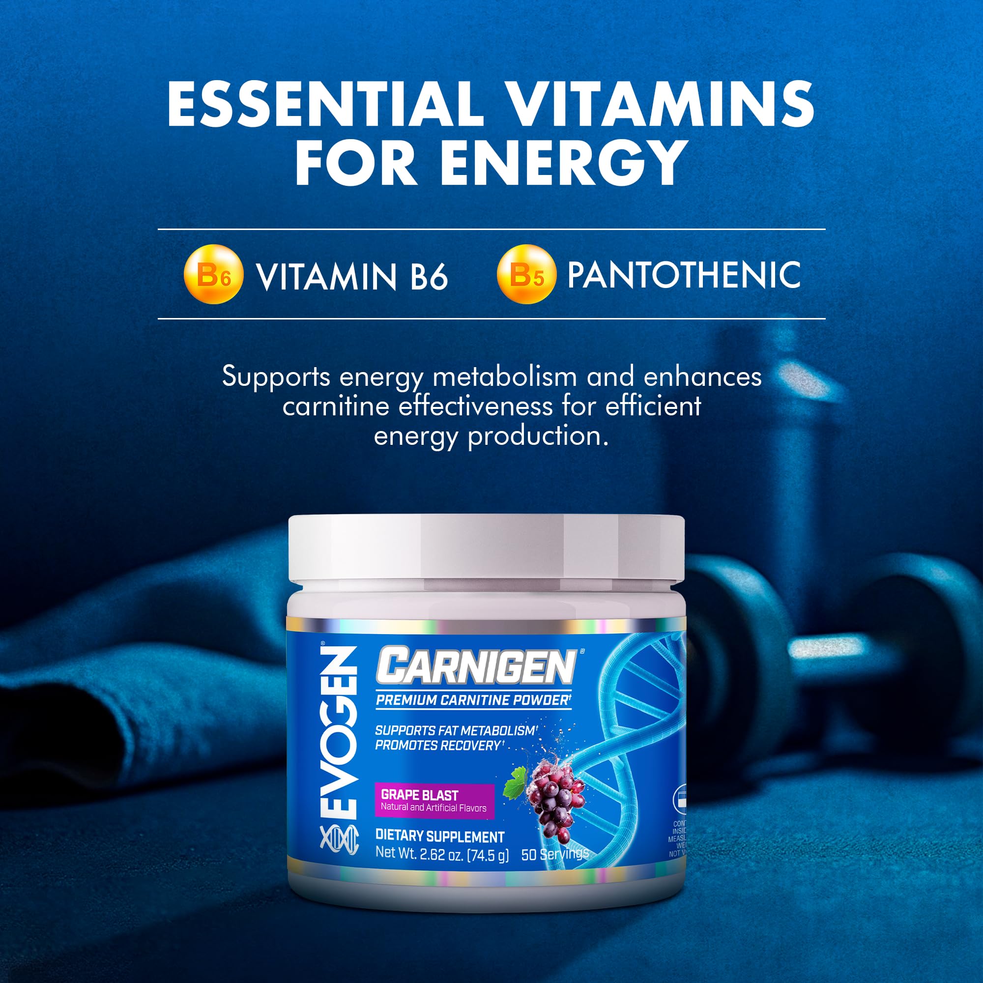 Evogen Carnigen, sabor uva, experiencia sensorial agradable para entrenamientos