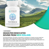 Evolved Elements etiqueta del producto tiroides con cápsulas de fácil consumo.