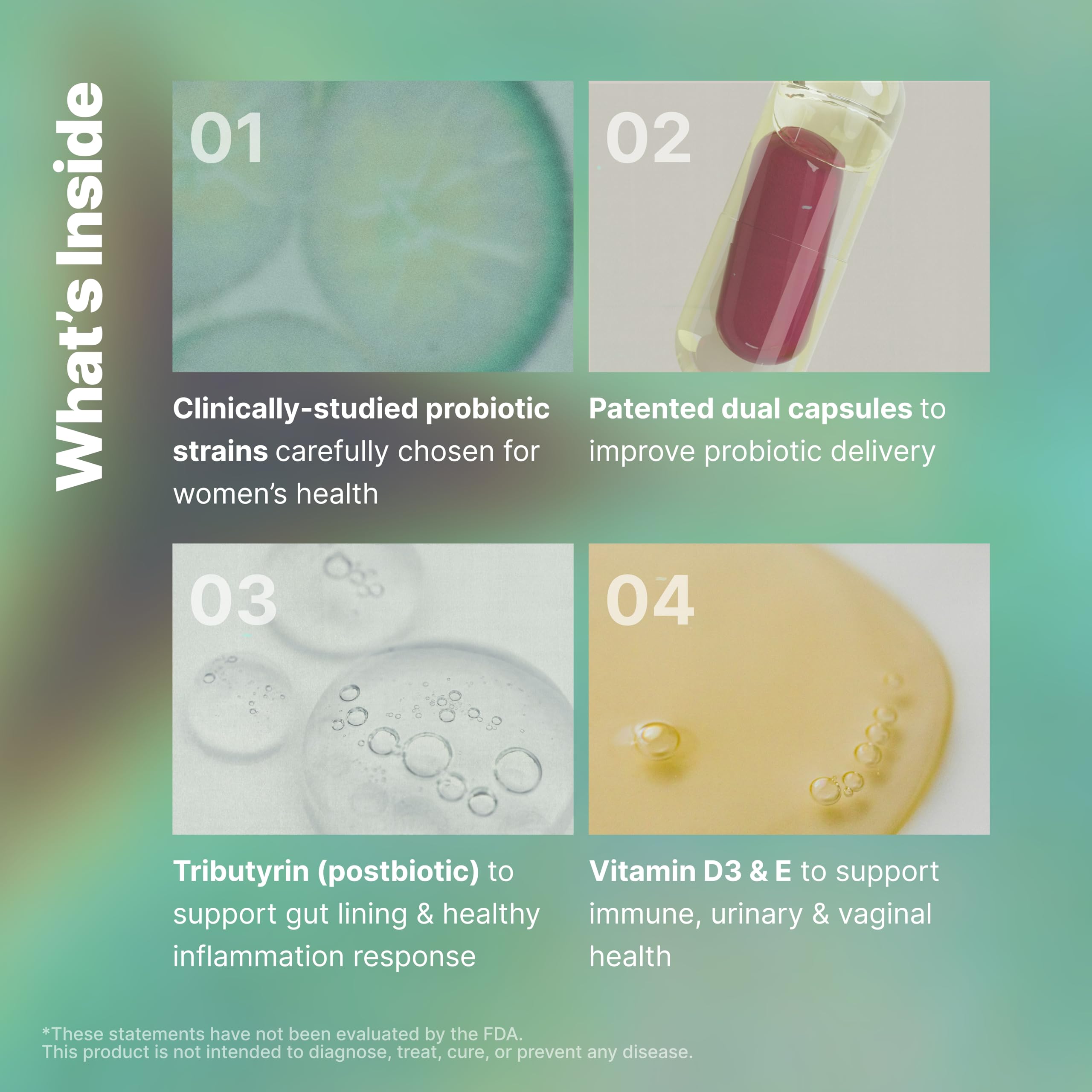 Evvy, ingredientes clave de probióticos para salud intestinal