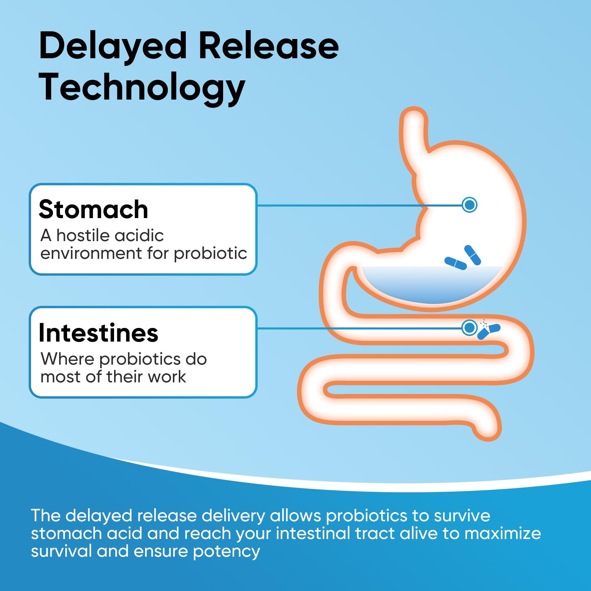 EYSOOGE cápsulas para equilibrio intestinal y sensación de bienestar