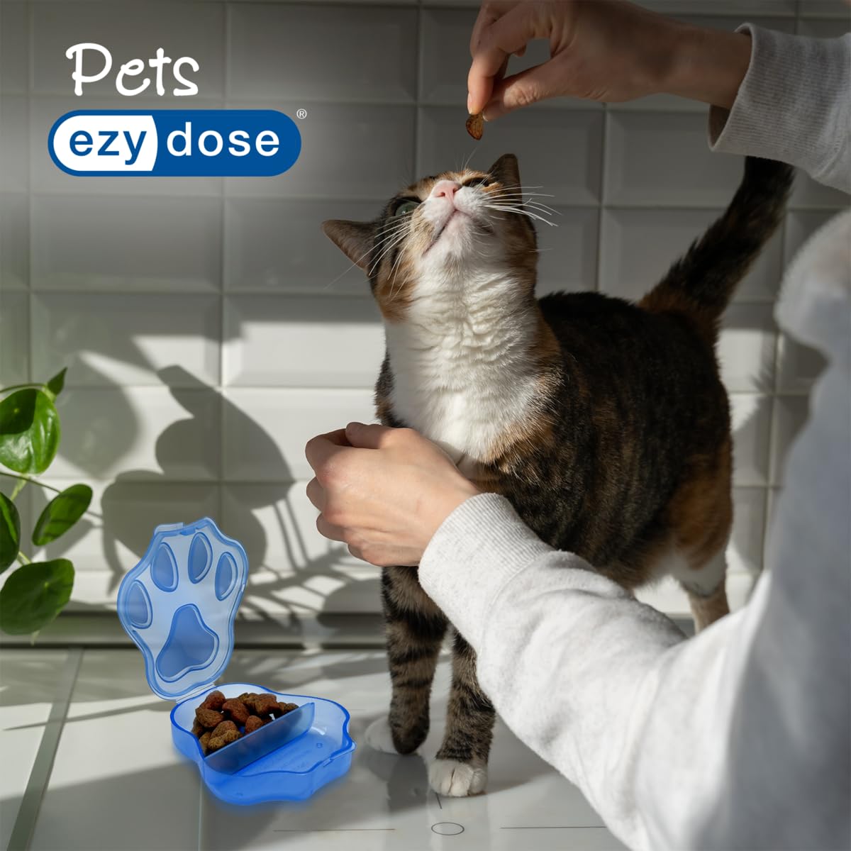 EZY DOSE Pharmapet Paw Print, fondo cóncavo para retirar pastillas fácilmente.