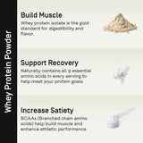 FACTOR FORM proteína aislada de rápida absorción para entrenamientos intensos