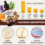 FANSHI ingredientes-clave-wormwood: combina plantas para apoyo antioxidante y balance natural.