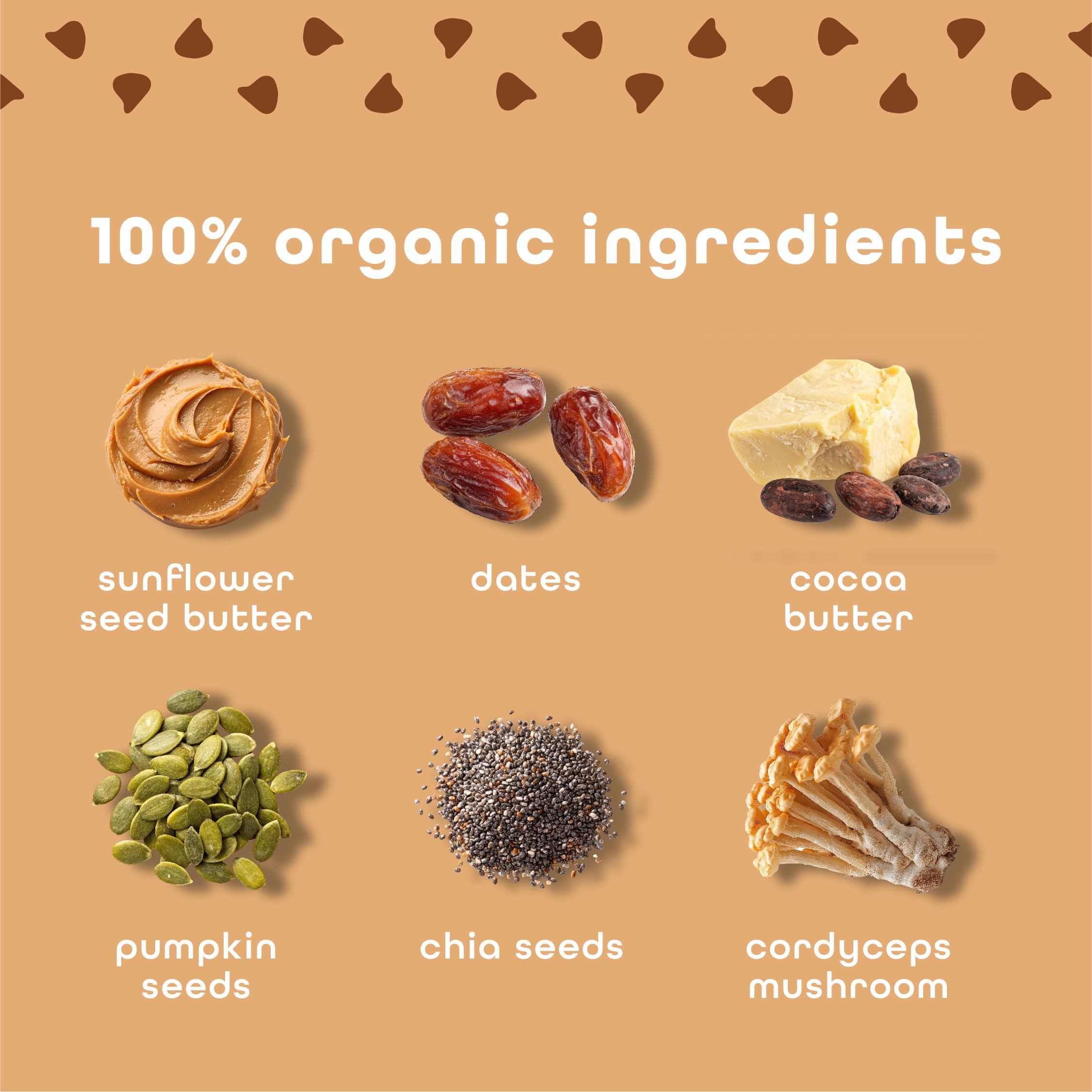 FEEL Barra vegana Balance, sin gluten para dietas sensibles.