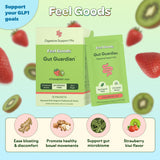 Feel Goods Gut Guardian: caja con 15 sobres para digestión conveniente durante viajes