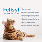 Felisyl Lisina Gel, botella-vidrio, presentación higiénica para uso diario.