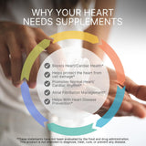 Fib Fighter vitamina C antioxidante para salud cardiovascular