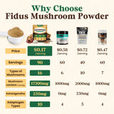 Fidus hongo cordyceps para energía sostenida y rendimiento diario.