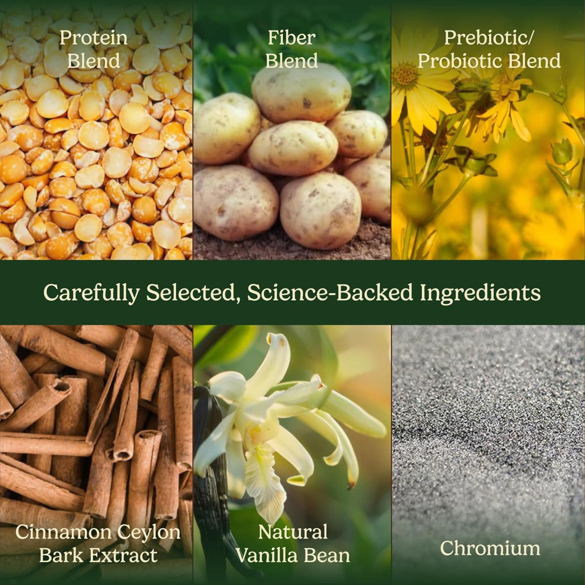 Field's Great Proteína vegetal con fibra vainilla, medidor preciso para porciones consistentes