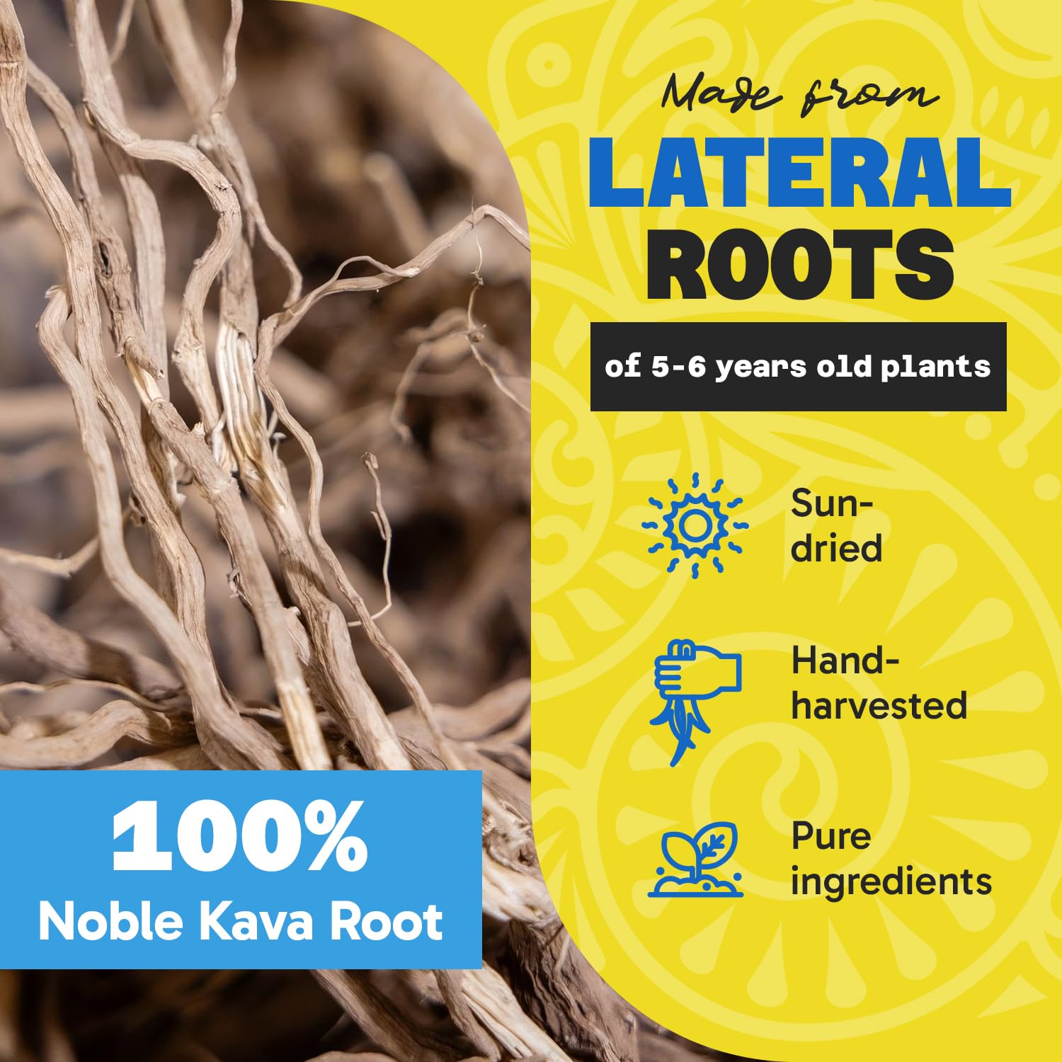 Molido mediano de Fiji Vanua Kava para infusión tradicional