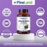Rutina diaria de bienestar con FineLand para soporte inmune