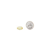 Finest Nutrition uso-diario-capsula, rutina diaria sencilla y práctica.