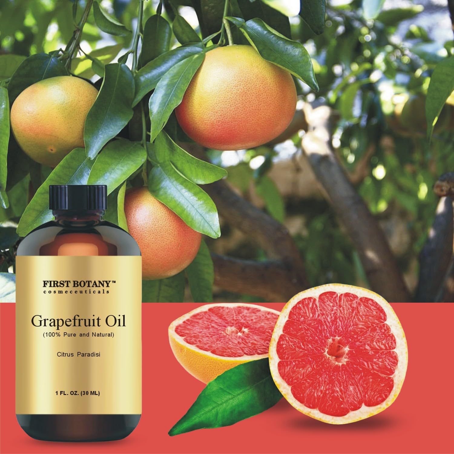 First Botany Aceite de Pomelo para limpieza del hogar con fragancia cítrica