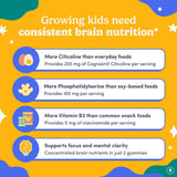 FIRST DAY Cognizin Citicoline ingredient detail supports attention.