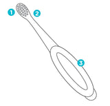 Kit de inicio para cuidado dental del bebé Fisher-Price, práctico en casa.