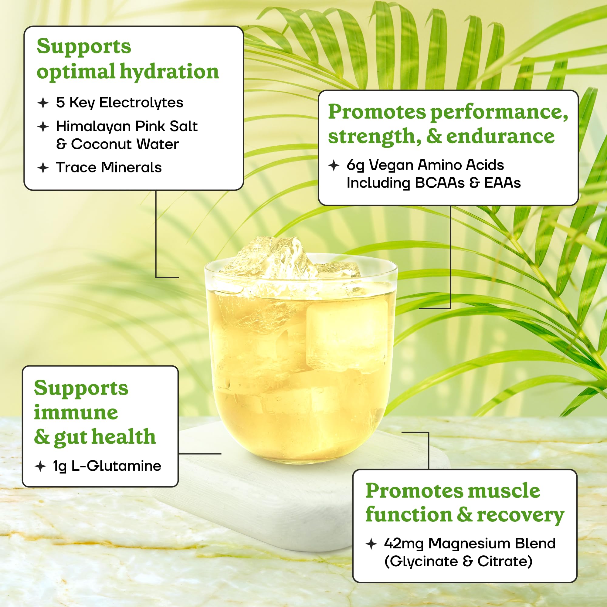 Fit & Lean Amino Hydration: etiqueta del producto con ingredientes clave