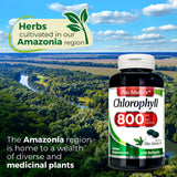 FITO MEDIC'S clorofila, etiqueta clara y origen vegetal