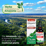 FITO MEDIC'S Lab etiqueta del producto con diseño limpio