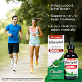 FITO MEDIC'S Lab hojas morera clorofila, fuente natural