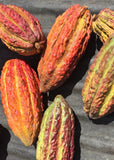 FlavaNaturals FlavaMix etiqueta sin azúcar: ideal para dietas controladas.
