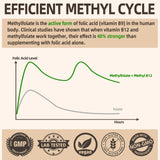 Fleamart metilcobalamina B12 15 mg: apoyo al ciclo metabólico y vitalidad