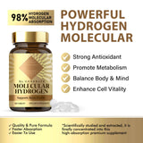 FlexBloom para gimnasio o viaje, bebida antioxidante en cualquier lugar.