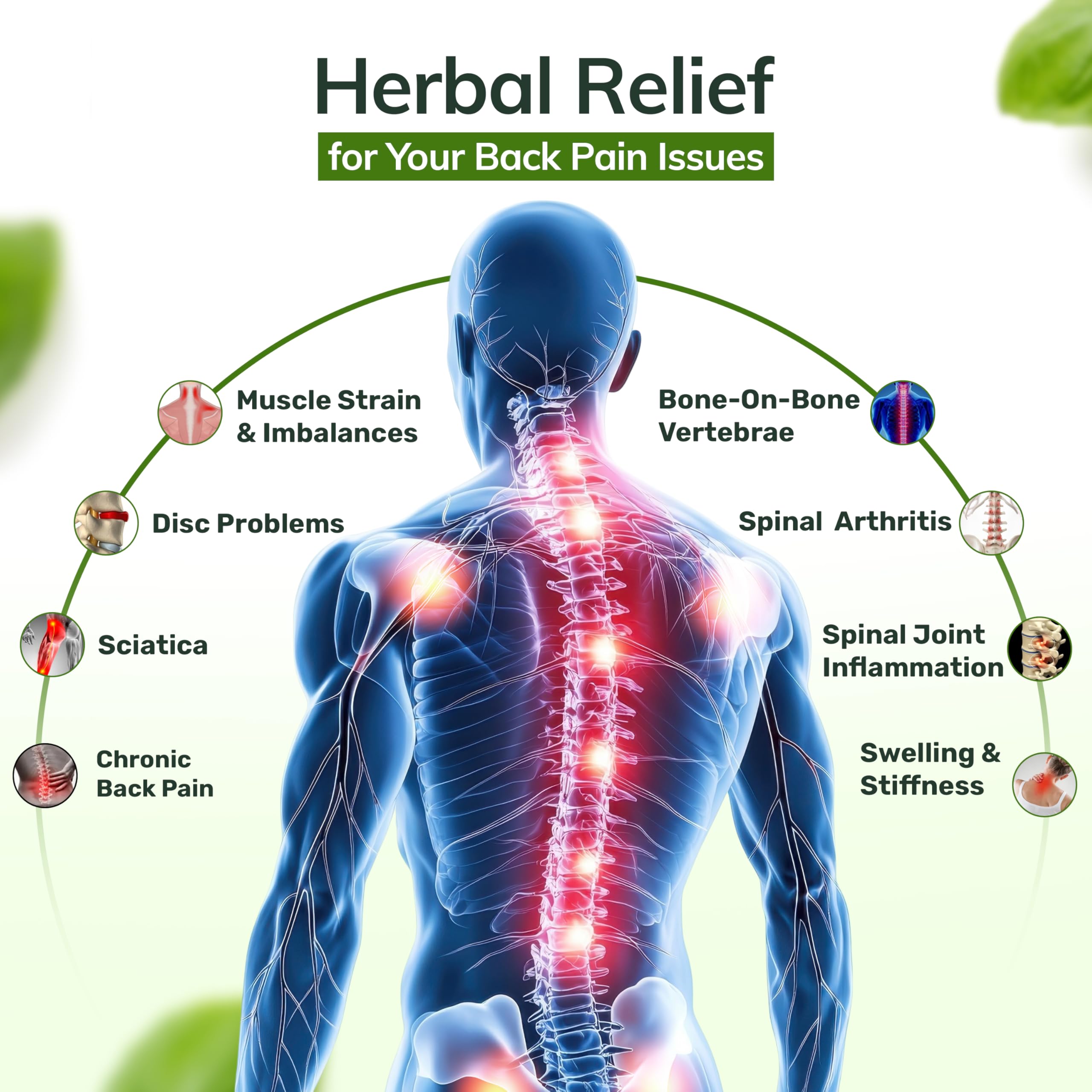 FlexiBack adhesión estable para sesiones largas sin irritación de la piel.