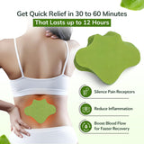 FlexiBack diseño ergonómico que se adapta a la zona lumbar.