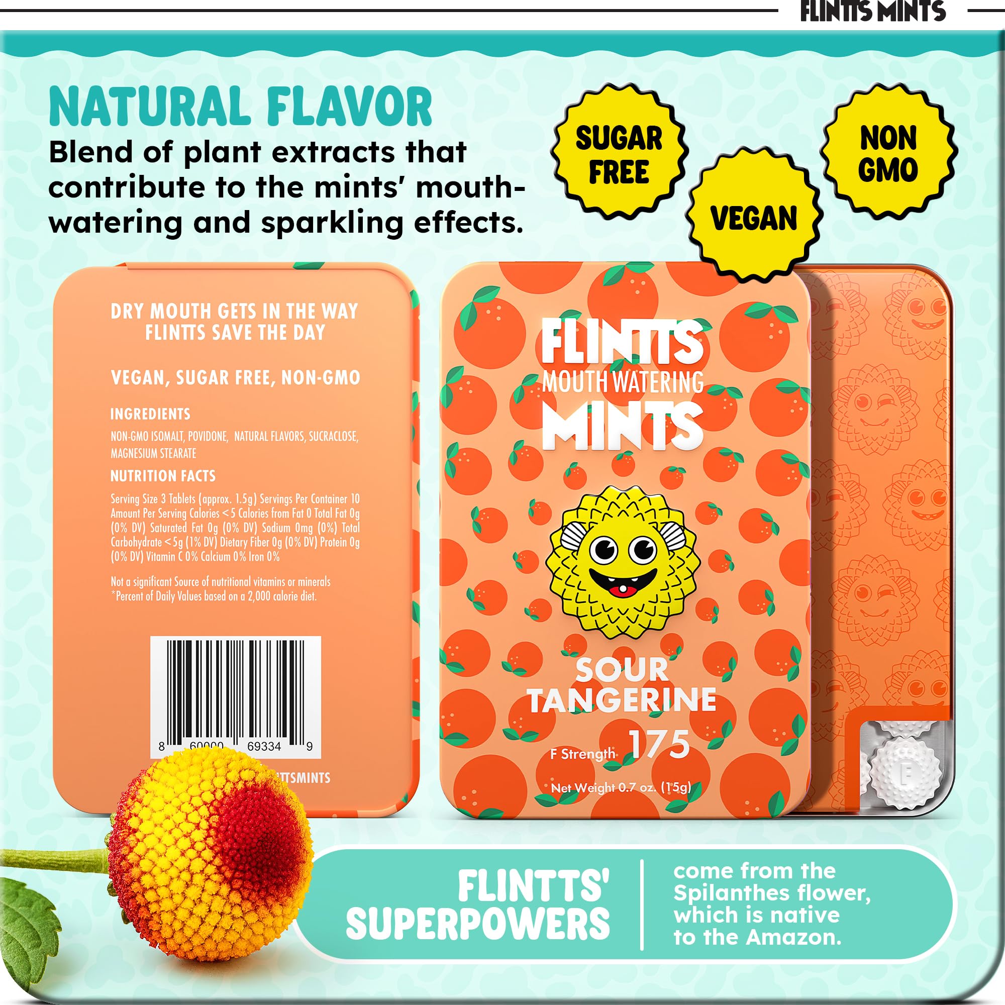Flintts Mints Fruit Troop sin azúcar, opción saludable para masticar.