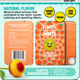 Flintts Mints Fruit Troop sin azúcar, opción saludable para masticar.