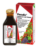 Floradix Floravital, botella de hierro y vitaminas para energía diaria.