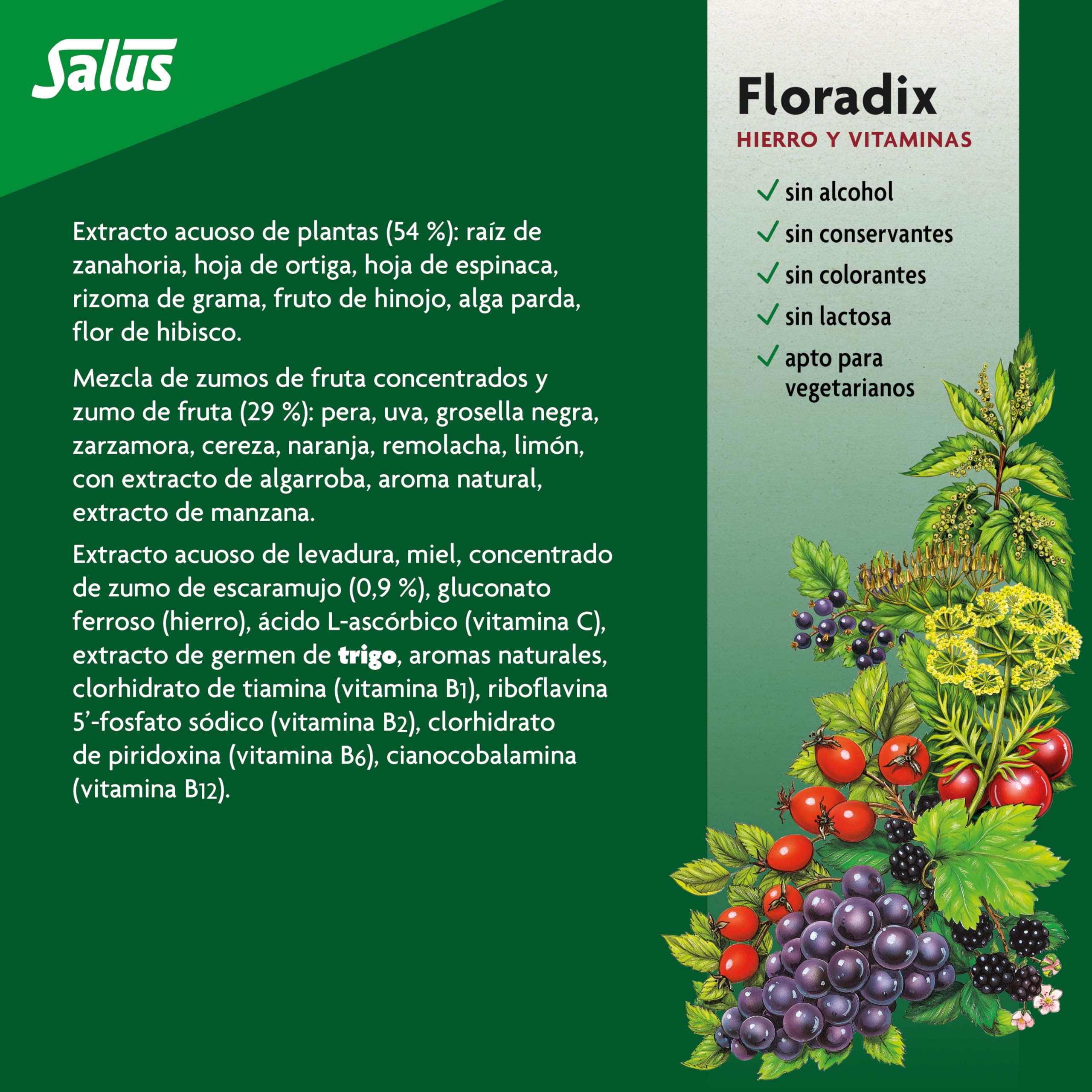 Floradix mezcla-frutas-concentradas: sabor natural y agradable
