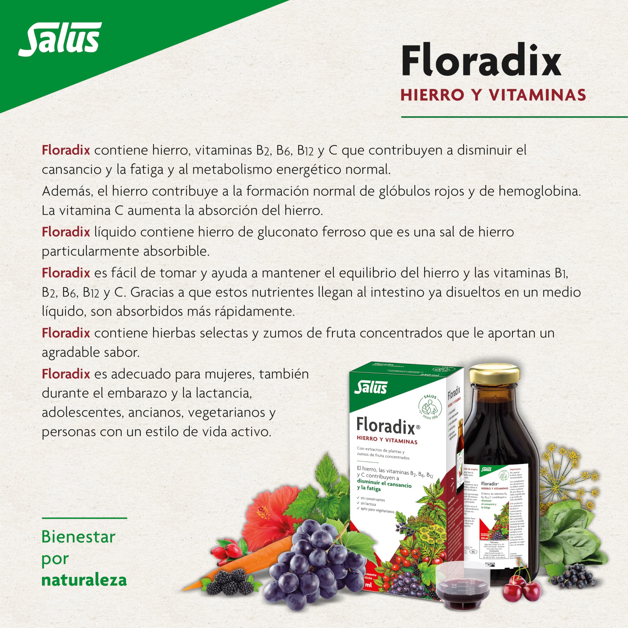 Floradix mezcla-vitaminas-y-herbolas: apoyo diario de vitaminas y hierbas