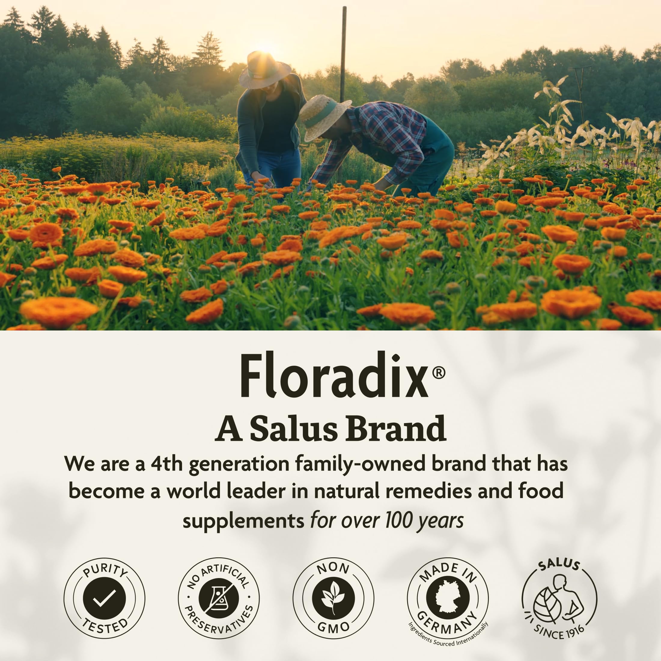 Floradix, símbolo de pureza alemana, libre de lactosa y alcohol.