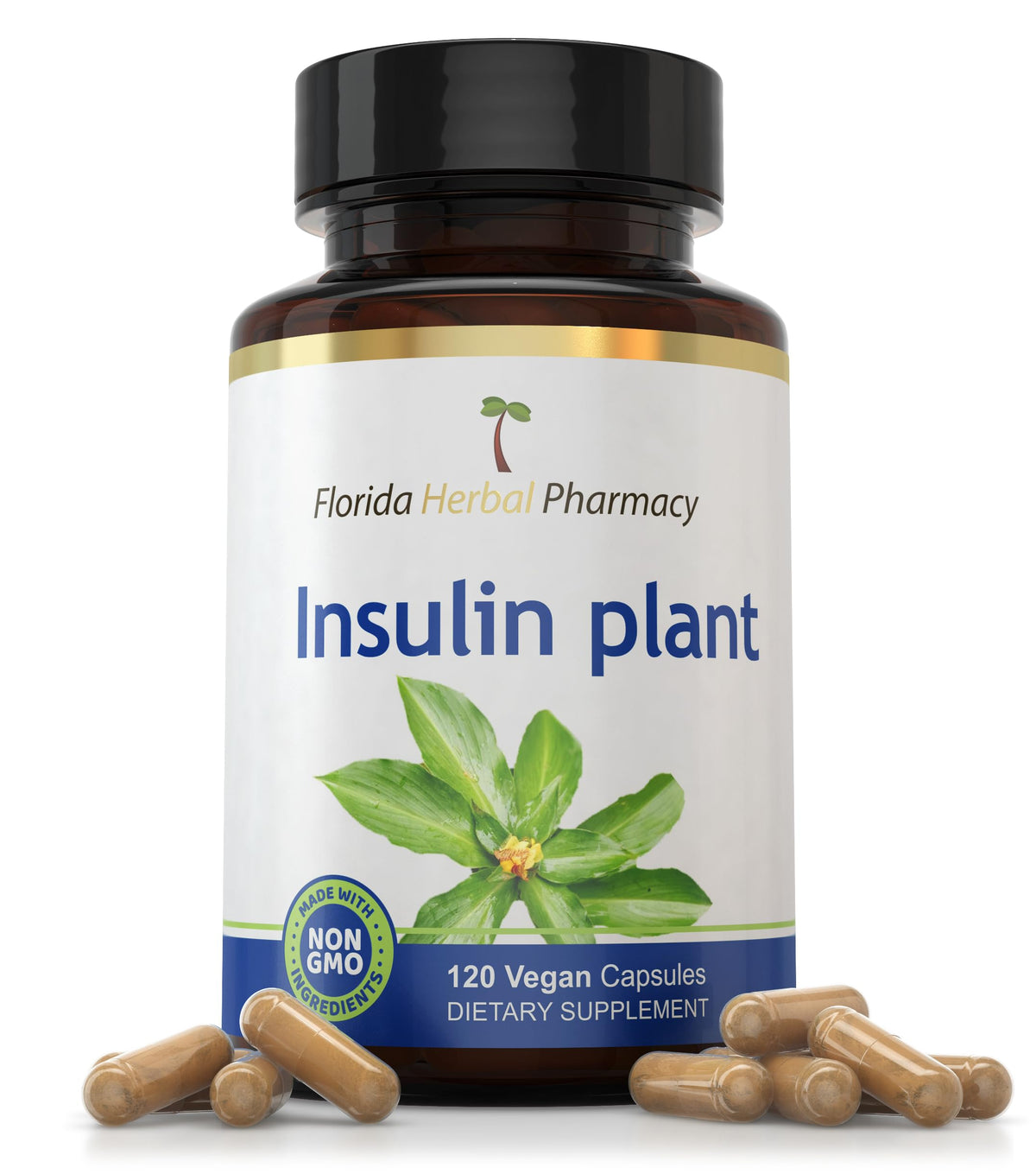 Cápsulas Florida Herbal Pharmacy con Costus Igneus, extracto 10:1 para uso diario