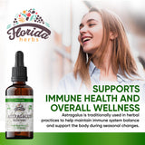 Etiqueta de Florida Herbs Astrágalo Tintura: información clara para uso consciente.